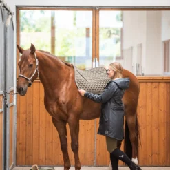 Horze Sandnes Vielseitigkeitsschabracke 26 Horze Sandnes Vielseitigkeitsschabracke -Weatherbeeta Shop 17425 dogr 03