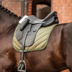 Horze Victoria Dressurschabracke 17 Horze Victoria Dressurschabracke -Weatherbeeta Shop 17430 bkgr 04