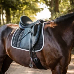 Horze Luminox Reflektierende Schabracke 8 Horze Luminox Reflektierende Schabracke -Weatherbeeta Shop 17431 BL 3