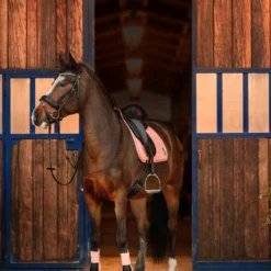 Horze Trixi Pony Vielseitigkeitsschabracke -Weatherbeeta Shop 17441 333 05