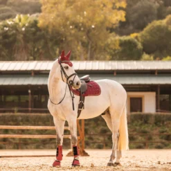 Horze Kenya Vielseitigkeitsschabracke -Weatherbeeta Shop 17444 251 06