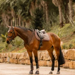 Horze Kenya Vielseitigkeitsschabracke -Weatherbeeta Shop 17444 753 07