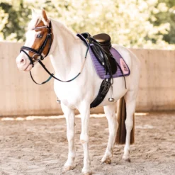 Horze Magic Carousel Vielseitigkeitsschabracke Für Ponys -Weatherbeeta Shop 17461 433 06