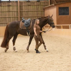 Horze Glarus Fliegenhaube Mit Metallischem Flechtdetail -Weatherbeeta Shop 22917 bdbr 04