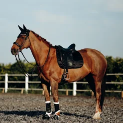 B Vertigo Drew Fliegenhaube 17 B Vertigo Drew Fliegenhaube -Weatherbeeta Shop 22931 BL 4