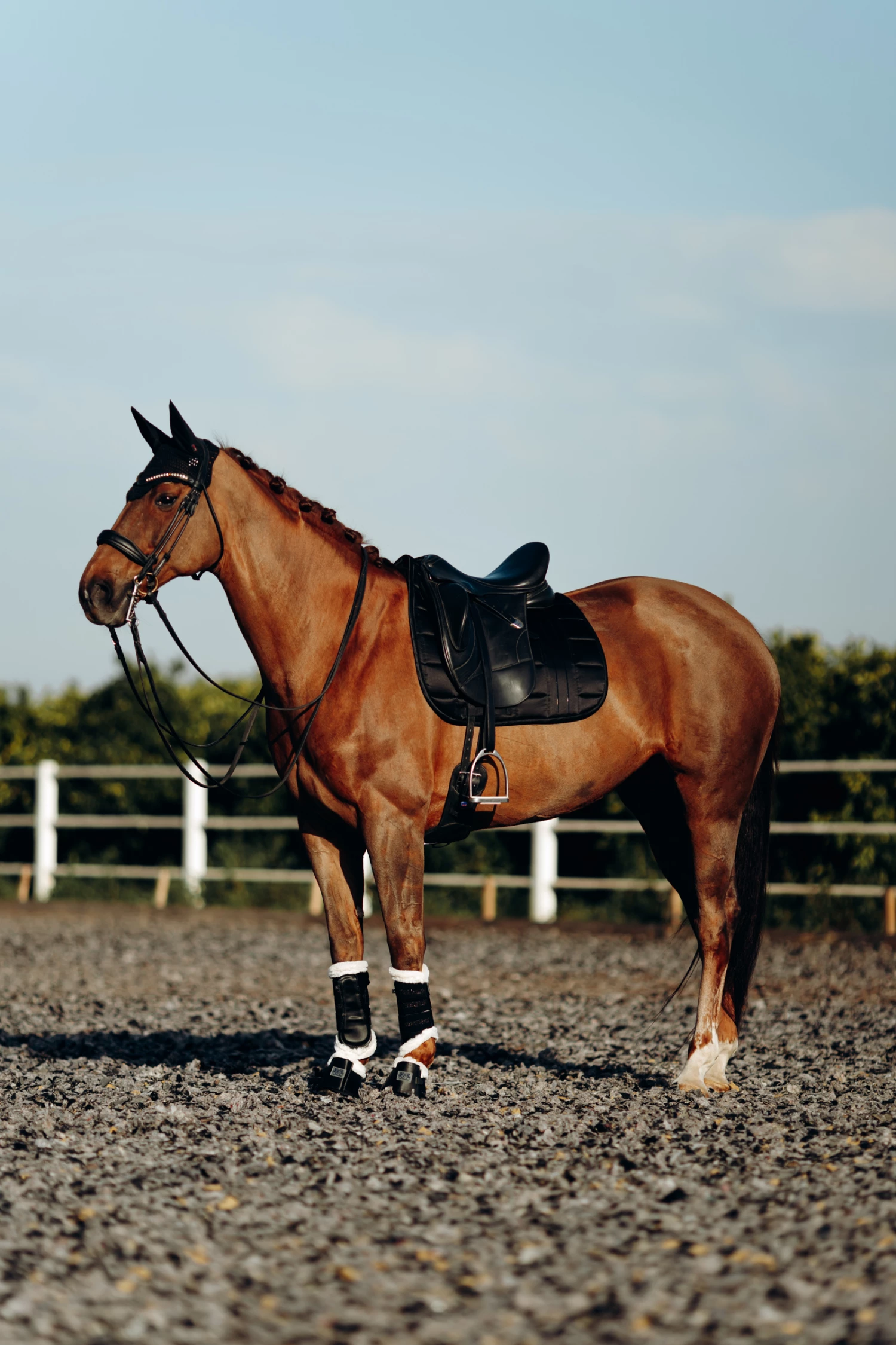 B Vertigo Drew Fliegenhaube 6 B Vertigo Drew Fliegenhaube – Bild 4