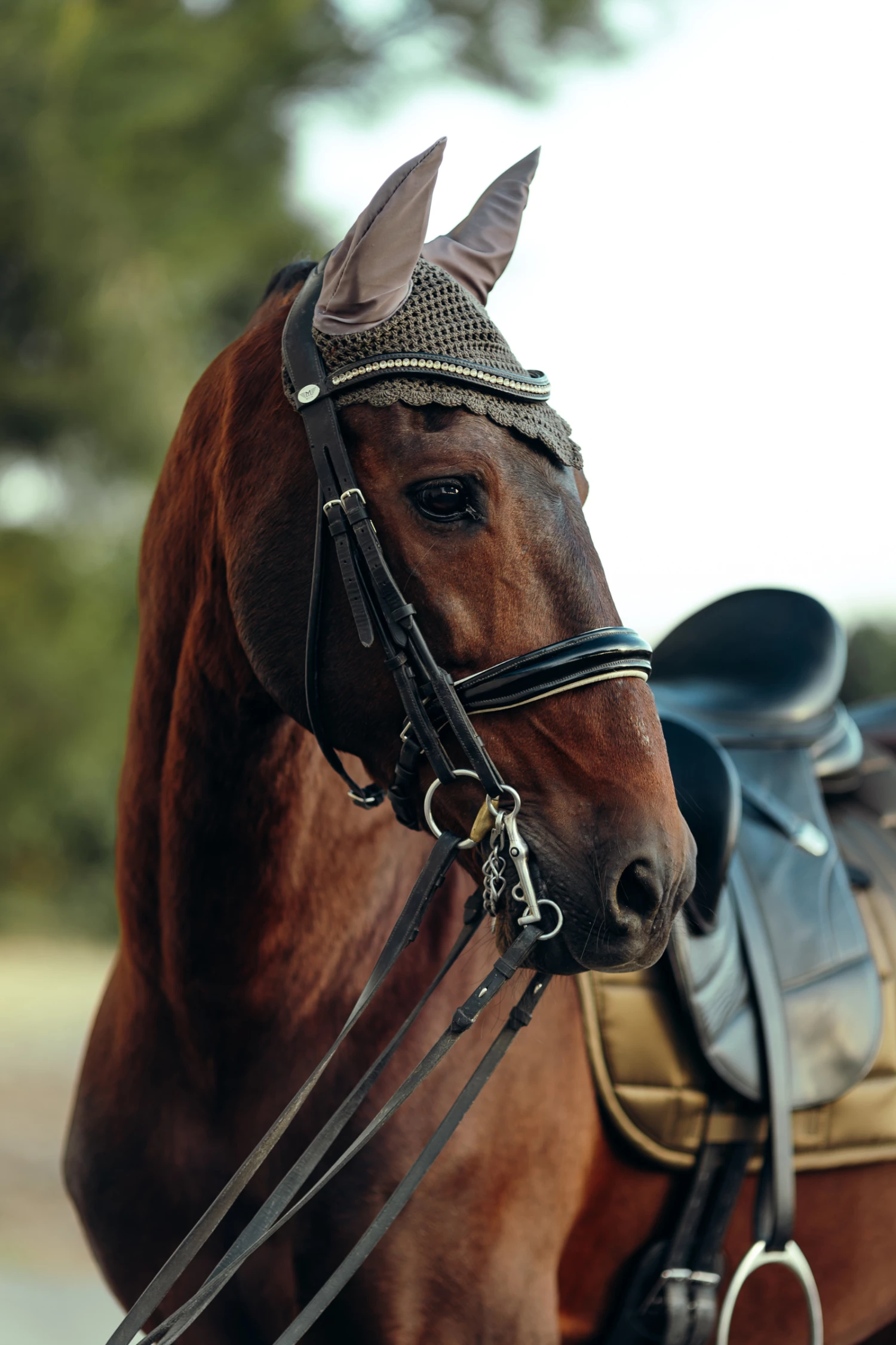 B Vertigo Drew Fliegenhaube 9 B Vertigo Drew Fliegenhaube – Bild 7