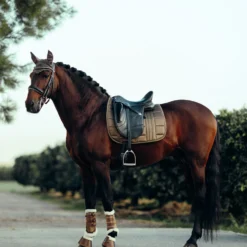 B Vertigo Drew Fliegenhaube 21 B Vertigo Drew Fliegenhaube -Weatherbeeta Shop 22931 UBBR 4