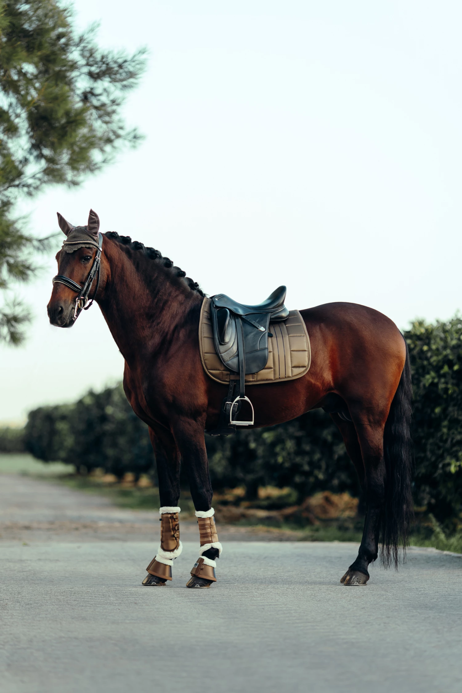 B Vertigo Drew Fliegenhaube 10 B Vertigo Drew Fliegenhaube – Bild 8