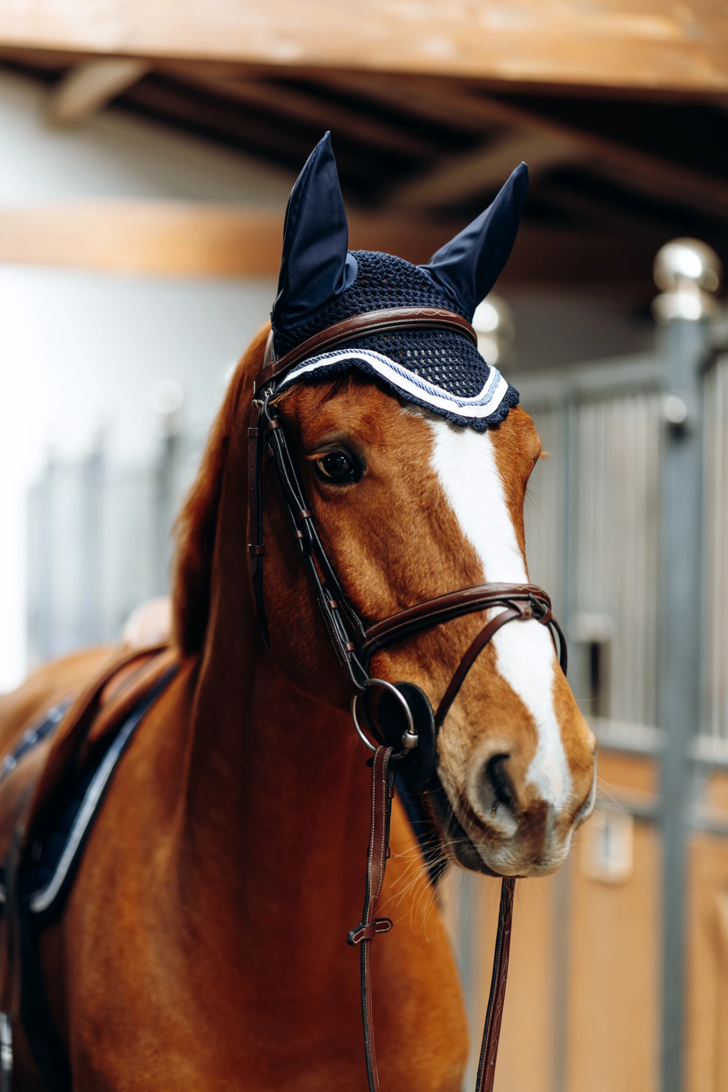 B Vertigo Cameron Fliegenhaube 11 B Vertigo Cameron Fliegenhaube – Bild 9