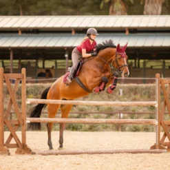Horze Kenya Fliegenhaube -Weatherbeeta Shop 22947 251 07