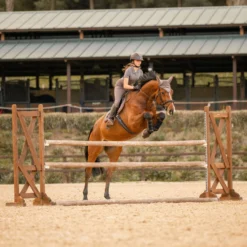 Horze Kenya Fliegenhaube -Weatherbeeta Shop 22947 753 06