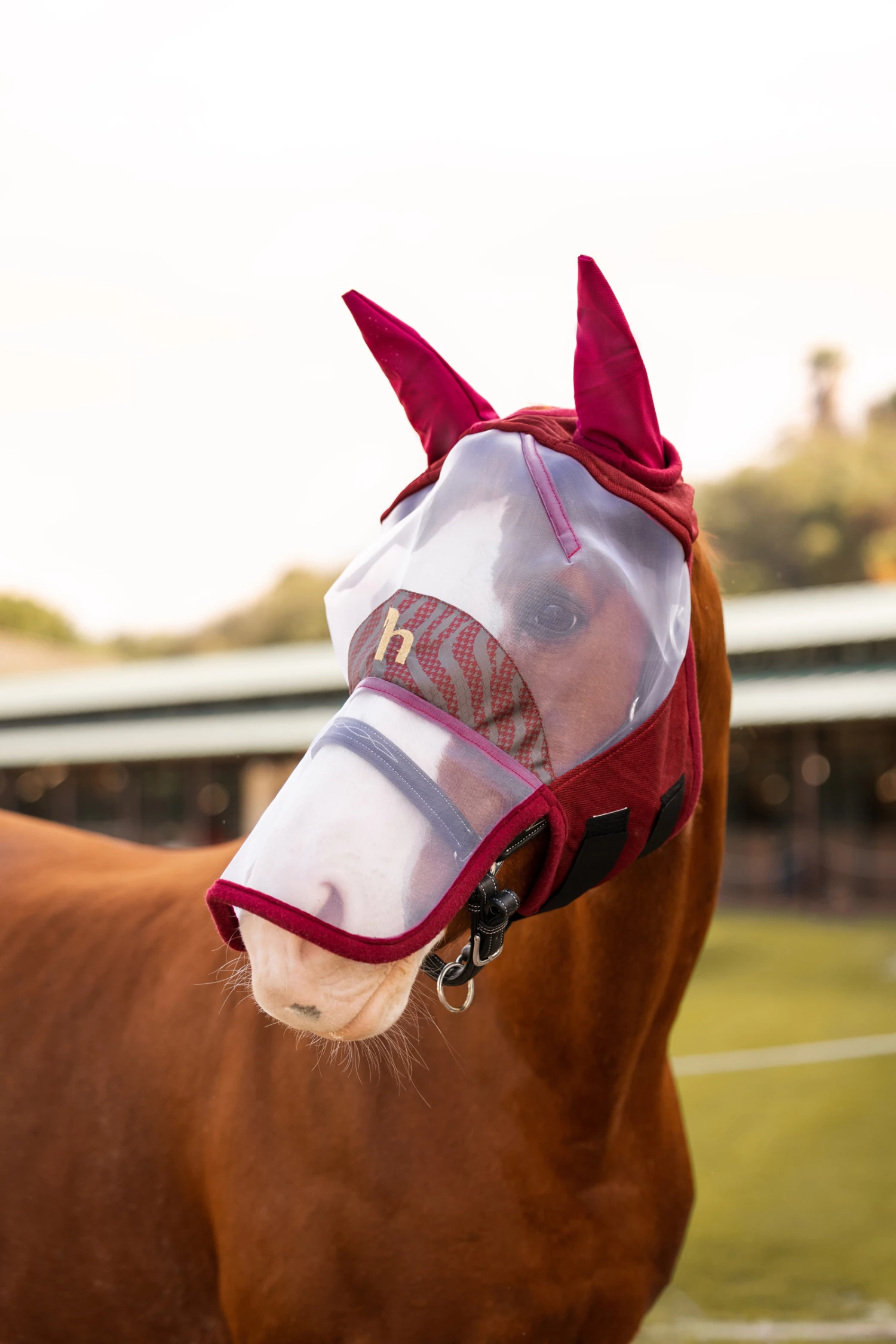 Horze Kenya Fliegenmaske 5 Horze Kenya Fliegenmaske – Bild 3