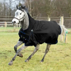 Horze Avalanche Regendecke, 0g -Weatherbeeta Shop 24016 BL 1