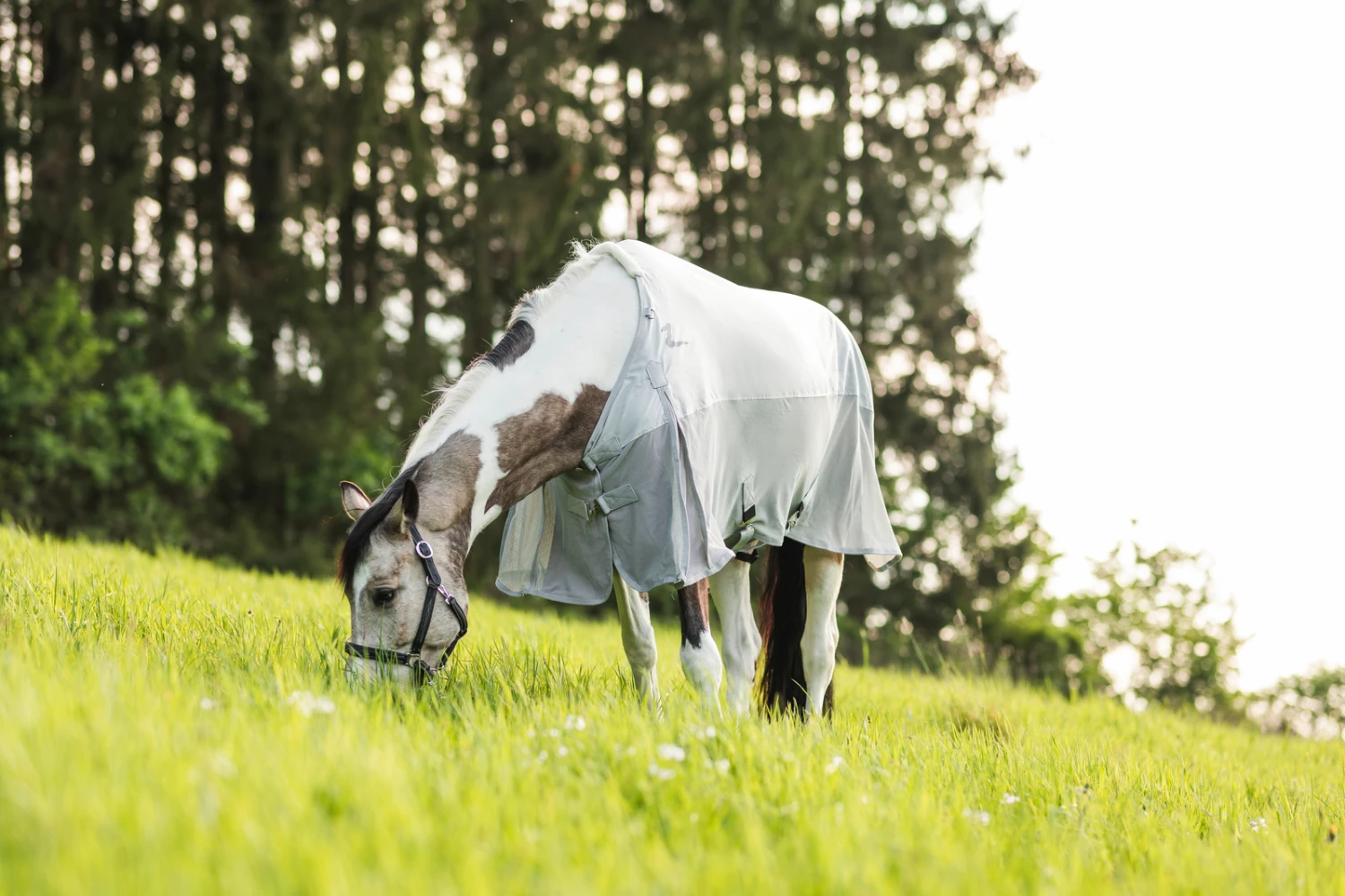 Horze Nevada Combo Regen-/Fliegendecke Mit Abnehmbarem Halsteil 11 Horze Nevada Combo Regen-/Fliegendecke Mit Abnehmbarem Halsteil – Bild 9