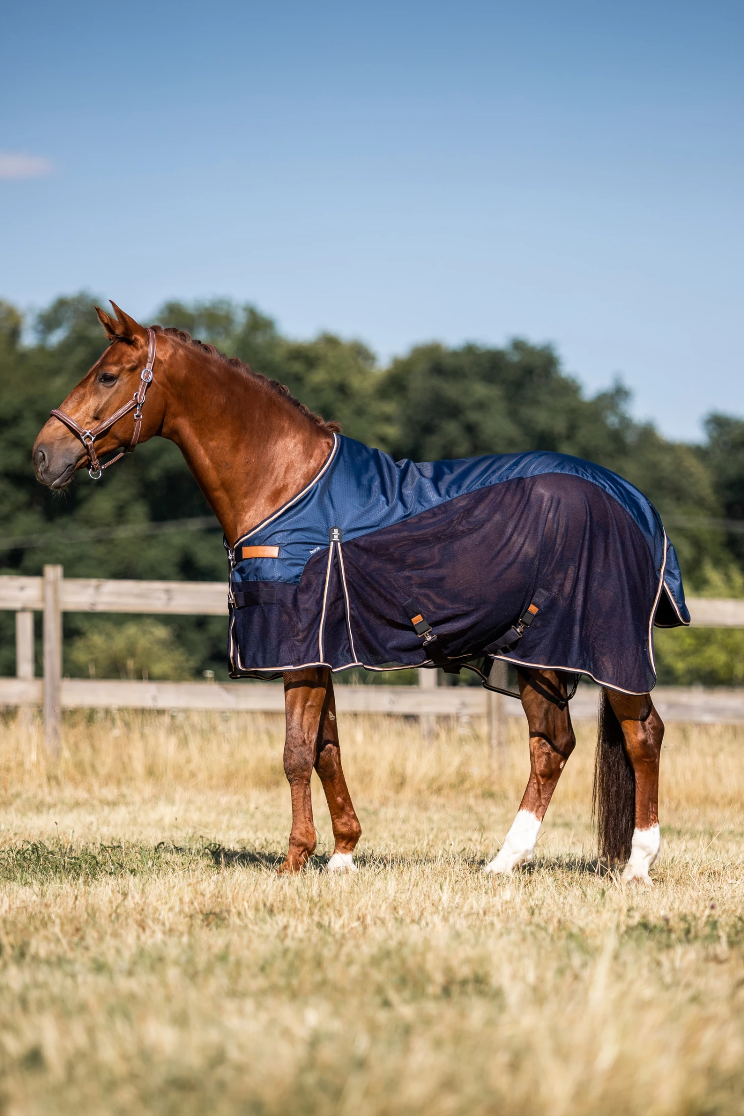 Horze Nevada Leichte Woll- & Meshdecke 10 Horze Nevada Leichte Woll- & Meshdecke – Bild 8