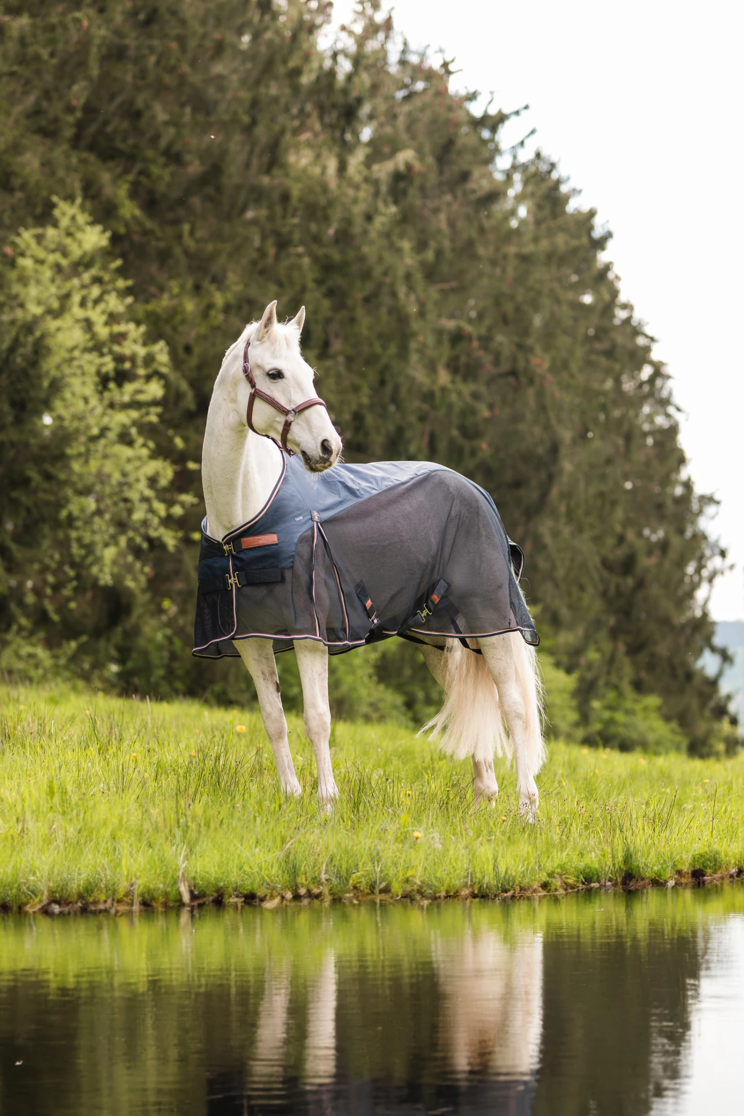 Horze Nevada Leichte Woll- & Meshdecke 11 Horze Nevada Leichte Woll- & Meshdecke – Bild 9
