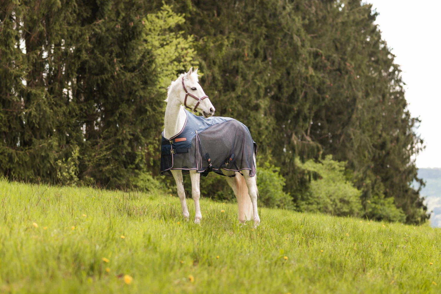 Horze Nevada Leichte Woll- & Meshdecke 14 Horze Nevada Leichte Woll- & Meshdecke – Bild 12