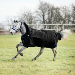 Horze Avalanche Regendecke Mit Hohem Hals, 150g -Weatherbeeta Shop 24047 BL 2