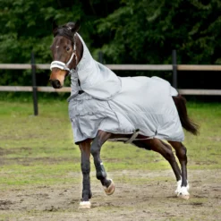 Horze Nevada 600D Regendecke, 0g -Weatherbeeta Shop 24056 LRG 2