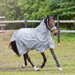 Horze Nevada 600D Regendecke, 0g -Weatherbeeta Shop 24056 LRG 3