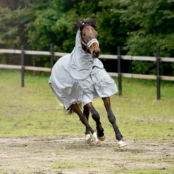 Horze Nevada 600D Regendecke, 0g -Weatherbeeta Shop 24056 LRG 5