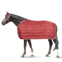 Horze Sudbury 2-in-1 Regendecke, 50g, 100g 10 Horze Sudbury 2-in-1 Regendecke, 50g, 100g -Weatherbeeta Shop 24093 MSRE 2