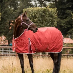 Horze Sudbury 2-in-1 Regendecke, 50g, 100g 14 Horze Sudbury 2-in-1 Regendecke, 50g, 100g -Weatherbeeta Shop 24093 msre 06