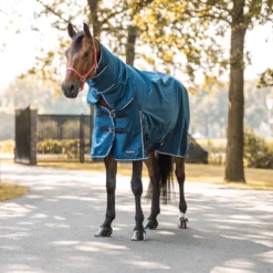 Horze Glasgow Regendecke Mit Halsteil, 150g 26 Horze Glasgow Regendecke Mit Halsteil, 150g -Weatherbeeta Shop 24109 559 06