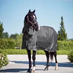 Horze Glasgow Regendecke Mit Halsteil, 150g 34 Horze Glasgow Regendecke Mit Halsteil, 150g -Weatherbeeta Shop 24109 bpg 04