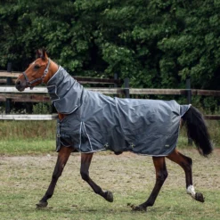 Horze Glasgow Regendecke Mit Halsteil, 400g 31 Horze Glasgow Regendecke Mit Halsteil, 400g -Weatherbeeta Shop 24111 IGG SLBR 05