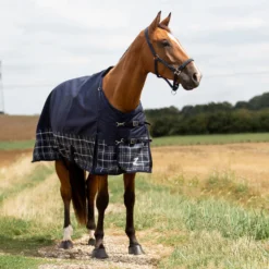 Horze Nevada 1200D Regendecke,100g -Weatherbeeta Shop 24128 PDB LDGR 1