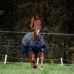 Horze Nevada 1200D Regendecke,100g -Weatherbeeta Shop 24128 VDB MBZ 3