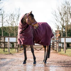 B Vertigo Georgina Weidedecke Mit Abnehmbarem Halsteil, 250g -Weatherbeeta Shop 24133 WDRE 3