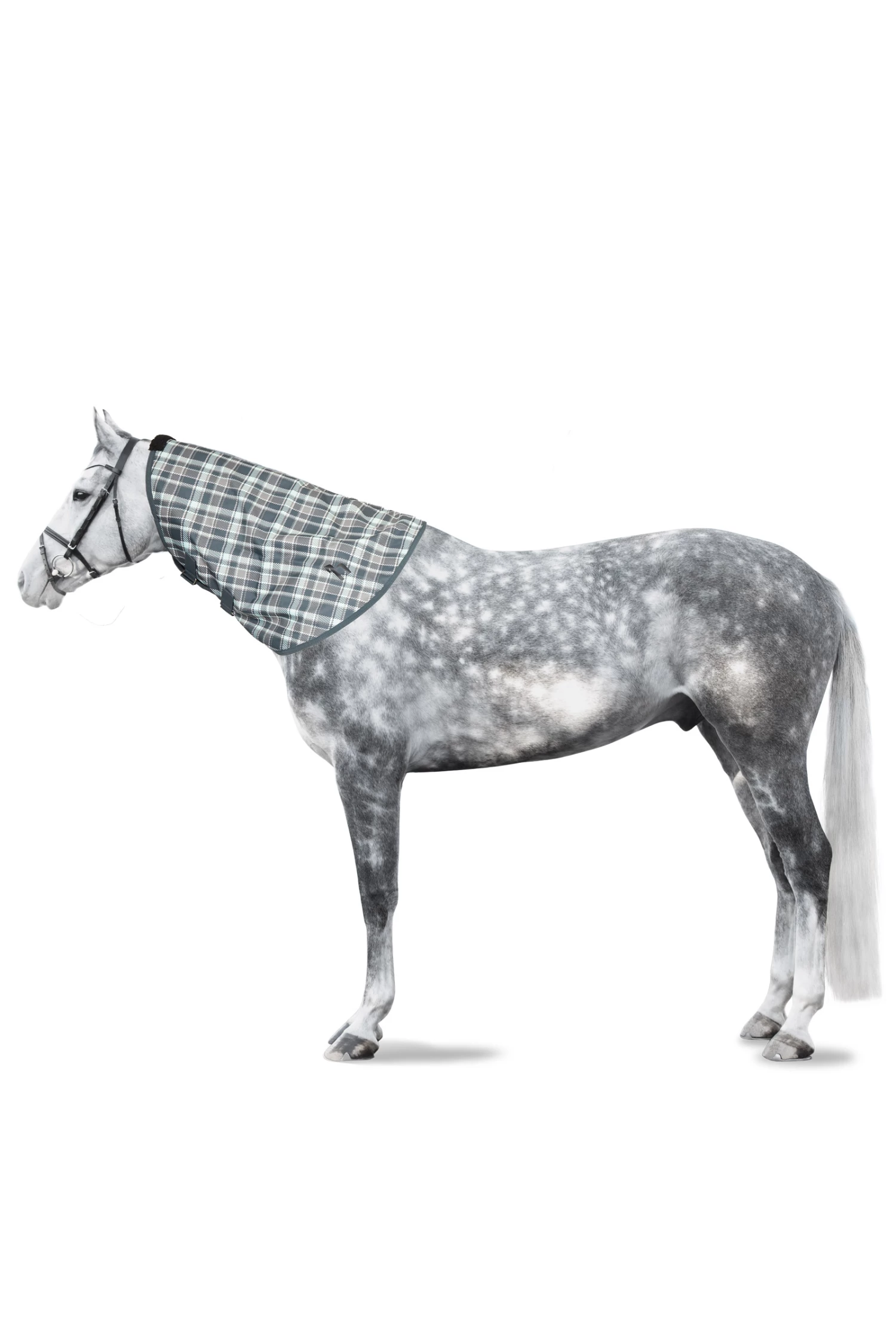 Horze Nevada Halsteil 10 Horze Nevada Halsteil – Bild 8