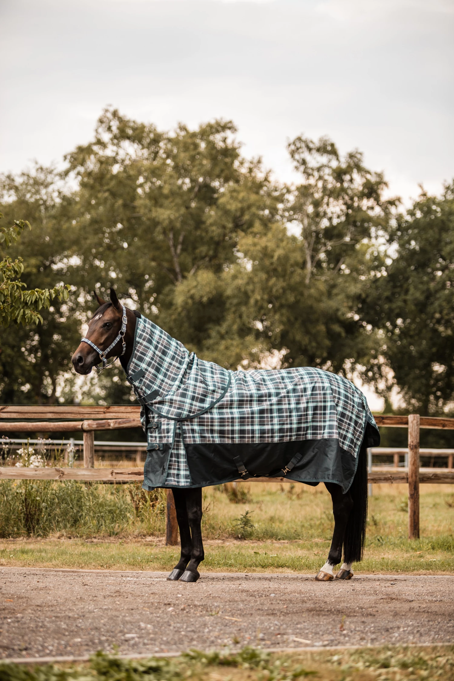 Horze Nevada Halsteil 13 Horze Nevada Halsteil – Bild 11