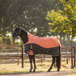 Horze Lucerne Regendecke Mit Hohem Hals, 250g -Weatherbeeta Shop 24192 237 03