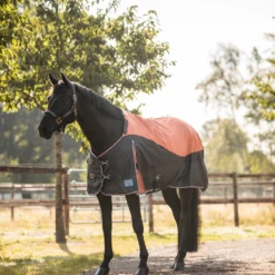 Horze Lucerne Regendecke Mit Fleecefutter 9 Horze Lucerne Regendecke Mit Fleecefutter -Weatherbeeta Shop 24195 237 04