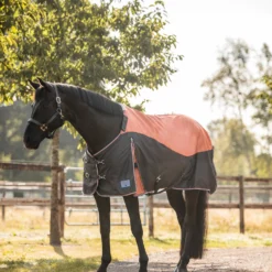Horze Lucerne Regendecke, 150g -Weatherbeeta Shop 24196 237 04