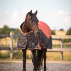 Horze Lucerne Regendecke, 250g 11 Horze Lucerne Regendecke, 250g -Weatherbeeta Shop 24197 237 05