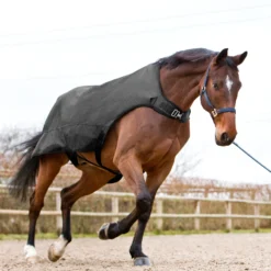 Horze Nevada Führanlagendecke, 200g -Weatherbeeta Shop 24331 BL 3