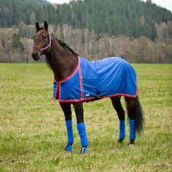 FT Sommerdecke, Enstex -Weatherbeeta Shop 24370 B RE 1