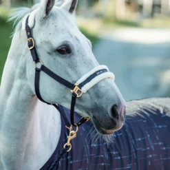 Horze Fairfax UV-Schutz Decke 8 Horze Fairfax UV-Schutz Decke -Weatherbeeta Shop 24377 vdb 03