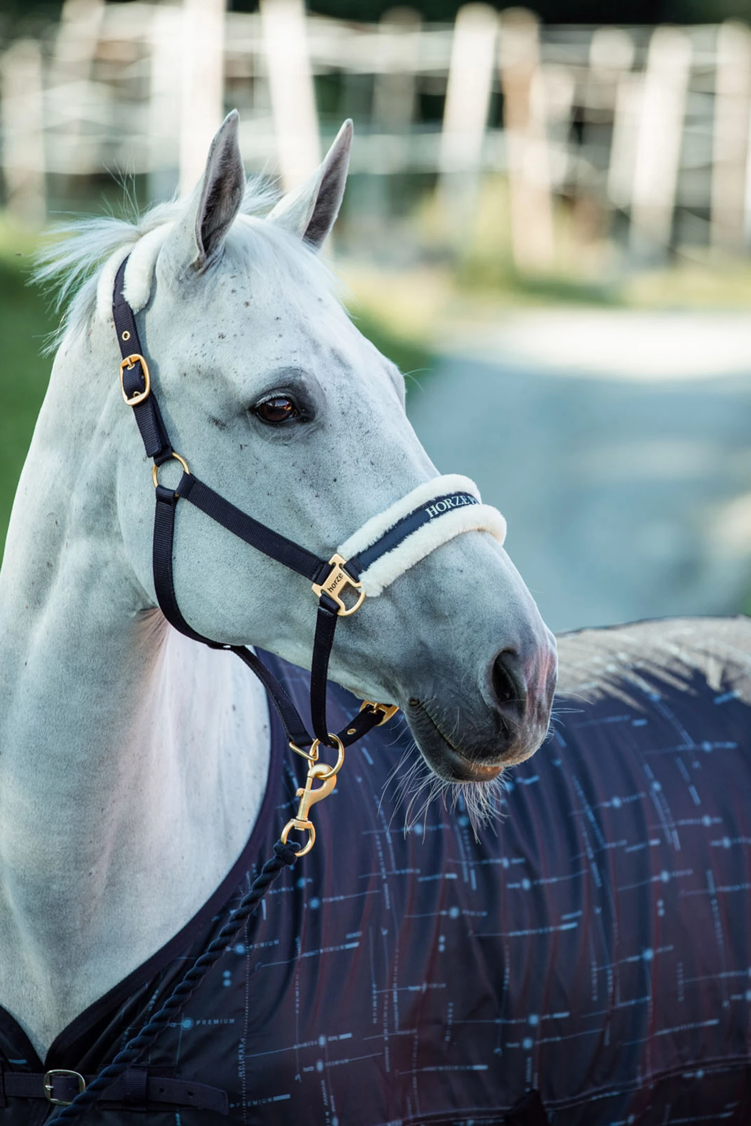 Horze Fairfax UV-Schutz Decke 5 Horze Fairfax UV-Schutz Decke – Bild 3