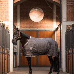 Horze Lucerne Stalldecke, 250g 11 Horze Lucerne Stalldecke, 250g -Weatherbeeta Shop 24394 080 05