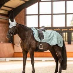 Horze Avalanche Ausreitdecke, 150g 7 Horze Avalanche Ausreitdecke, 150g -Weatherbeeta Shop 24395 sib 03