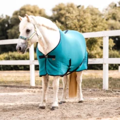 Horze Magic Carousel Pony Fleece Abschwitzdecke 29 Horze Magic Carousel Pony Fleece Abschwitzdecke -Weatherbeeta Shop 24443 556 07