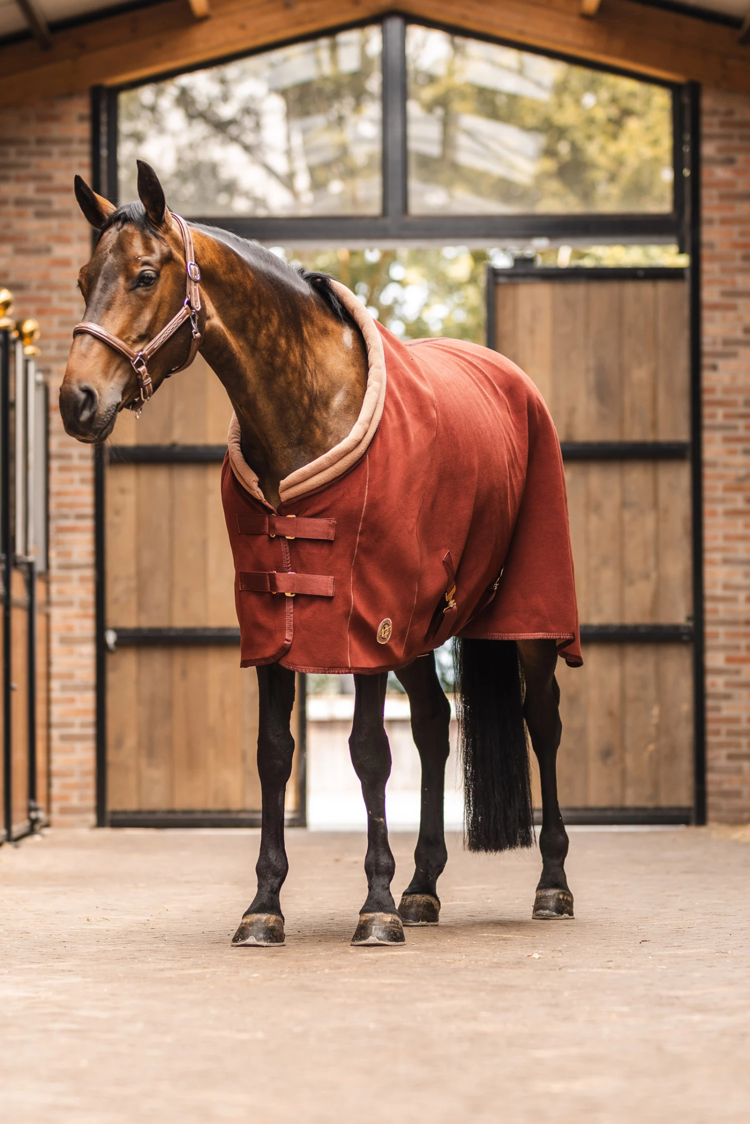 Horze Terrazzo Double Bonded Fleece Abschwitzdecke 9 Horze Terrazzo Double Bonded Fleece Abschwitzdecke – Bild 7