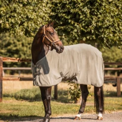 Horze Sandnes Fleece Abschwitzdecke -Weatherbeeta Shop 24475 DOGR 4