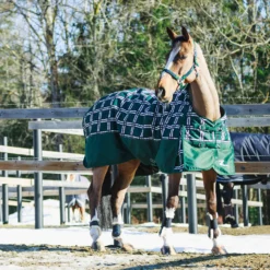 Horze Nevada Winterdecke, 400g 26 Horze Nevada Winterdecke, 400g -Weatherbeeta Shop 24571 BTGR VDB 2